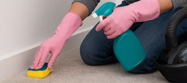 "Person städar hem efter vägglöss eller skadedjur med skyddshandskar, dammsugare och rengöringsmedel – säker och hygienisk sanering för ett rent och friskt hem"